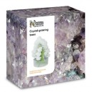 Crystal TKC - Arbres en cristal - Langue: anglais (Import Grande Bretagne)