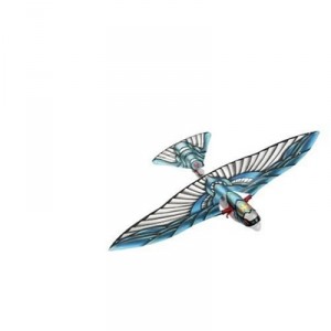 De Ruymbeke Tim - Plein Air - Ornithopter ( Ruymbeke)