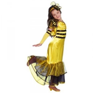 Framboise et Compagnie - 59310 - Costume - Panoplie Cintre - Princesse Abeille - 5 - 7 ans (Framboise Et Compagnie)