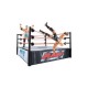 Giochi Preziosi - 4385 - WWE - World Wrestling Entertainment - Ring de Combat