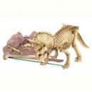 Dam SPRL - éducatifs - Deterre-Ton-Triceratops (Great Gizmos)