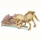Dam SPRL - éducatifs - Deterre-Ton-Triceratops (Great Gizmos)