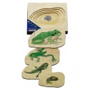 Hape Encastrement Multi-niveaux Croissance. La Grenouille