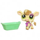 HASBRO LITTLEST PET SHOP PETSHOP POSTCARD 905 TIGRE LEOPARD + CARTE , EN BOITE NEUVE