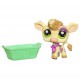 HASBRO LITTLEST PET SHOP PETSHOP POSTCARD 905 TIGRE LEOPARD + CARTE , EN BOITE NEUVE
