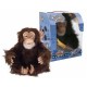 Hasbro - Peluche - Chimpa mon chimpanzé