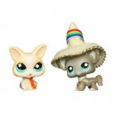 Hasbro Poupée - 832 - Littlest Petshop Duo avec Accessoire - Chat