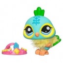 Hasbro Littlest Petshop - Poupée - 93275 - Petshop et carte - 1069 Paon Royale