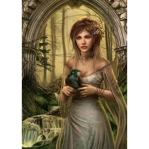 Heye Verlag Heye - 29207 - Puzzle - Crow - Cris Ortega - 1000 pièces