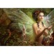 Heye Verlag Heye - Puzzle 2000 pièces - Mélanie Delon : Les fées