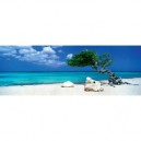 Heye Verlag University Games - HEYE 29399 - Puzzle - Divi Divi Tree Alexander - Von Humboldt - 1000 Pièces