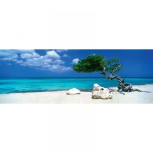 Heye Verlag University Games - HEYE 29399 - Puzzle - Divi Divi Tree Alexander - Von Humboldt - 1000 Pièces