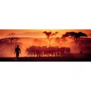 Heye Verlag University Games - HEYE 29400 - Puzzle - Kalahari Desert Alexander - Von Humboldt - 1000 Pièces