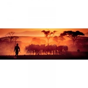 Heye Verlag University Games - HEYE 29400 - Puzzle - Kalahari Desert Alexander - Von Humboldt - 1000 Pièces