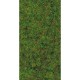 Hornby France - Busch - 7111 - Circuit - Train - Flocage herbe vert printemps (Hornby)