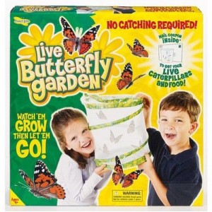 Insect Lore Theme Packs | Display Décorateur [Jouet] (Pams Toys)