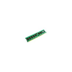 Transcend - 1go m&eacute;moire pour Dell - ordinateur - Optiplex 745, Optiplex 755 DDR2 RAM PC2-6400 1 Go (TS1GDL745)