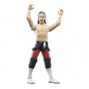 JAKKS Pacific Paul Burchill Wwe Catch Figurine - Ruthless Aggression Serie 37