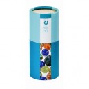 Janod - J02445 - Jouets Bois - Billes Tubix (Janod)