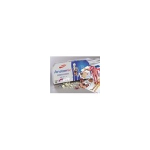 Joustra - 41605 - Educational Games - Science and Nature - Anatomy