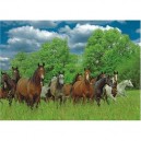 Jumbo Spiele Jumbo - Puzzle 1000 pièces - Chevaux dans la lande