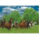 Jumbo Spiele Jumbo - Puzzle 1000 pièces - Chevaux dans la lande