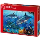 Jumbo Spiele Jumbo - Puzzle 1000 pièces - Dauphins explorateurs