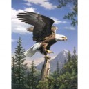 Mammut Sports Group Mammut - A30ACM3 - Peindre d'après les numéros - Artists Collection - L'aigle (Import Allemagne)