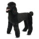 Melissa and Doug Caniche peluche (Melissa and Doug)