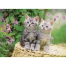 Nathan - 87176 - Puzzle - Tendres Petits Chats - 500 Pièces (Nathan)