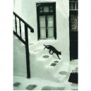 Nathan - 87536 - Puzzle - Chat en Grèce - 1000 Pièces (Nathan)
