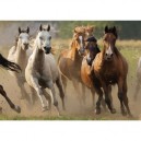 Nathan - 87561 - Puzzle - Horde de Chevaux Sauvages - 1000 Pièces (Nathan)