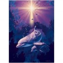 Nathan Ravensburger - Puzzle - Sea Of Tranqulity - 1000 Pièces