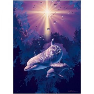 Nathan Ravensburger - Puzzle - Sea Of Tranqulity - 1000 Rooms