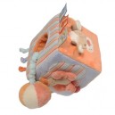 Nattou - Zamis - 455367 - Eveil - Cube Multi-activités (Nattou)
