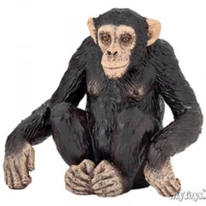 Papo Chimpanzé