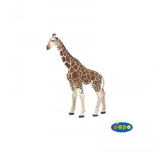 Papo Girafe
