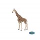 Papo Girafe