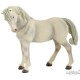 Papo Jument Lipizzan