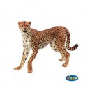 Papo - 50020 - Animaux - Guépard