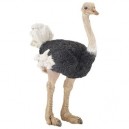 Papo - 50073 - Animaux - Autruche