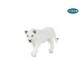 Papo - 50075 - Animaux - Lionne Blanche