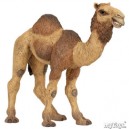 Papo - 50105 - Animaux - Dromadaire