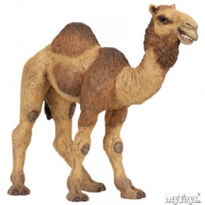 Papo - 50105 - Animaux - Dromadaire