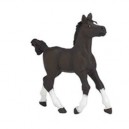 Papo - 51506 - Figurine - Animaux - Poulain Arabe