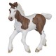 Papo - 51514 - Figurine - Animaux - Poulain Cob Bai