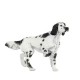 Papo - 54010 - Animaux - Setter Anglais