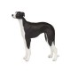 Papo - 54015 - Figurine - Animaux - Lévrier Greyhound