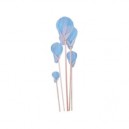 Partner - Jeu de Plein Air - Havenets coton 30 cm (Partner, Jeux de plein air)