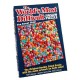 Paul Lamond Games Paul Lamond - Puzzle Jigsaw - 529 Pièces - The Worlds Most Difficult The Sweet Shop (Import Grand...